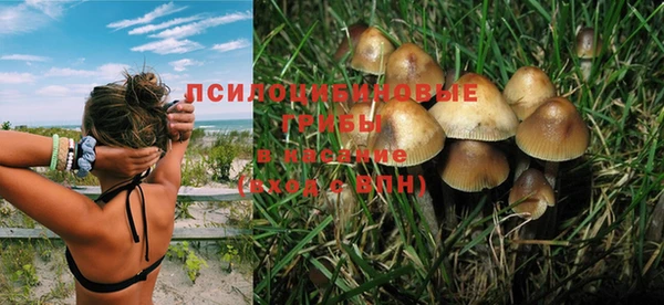 скорость Алексеевка