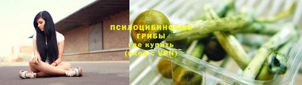 крисы Алексин