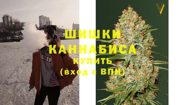 ГАЛЛЮЦИНОГЕННЫЕ ГРИБЫ Михайловск