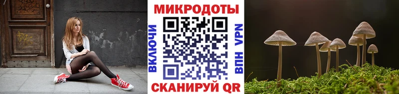 закладка Малаховка Галлюциногенные грибы Psilocybine cubensis